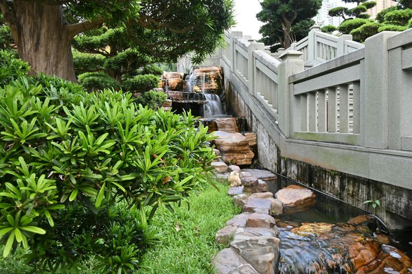 How to Create a Shaded Garden Oasis with UK Woodland Plants?