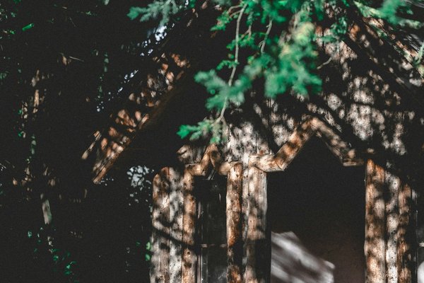 What are the legal requirements for building a treehouse in a garden in London?